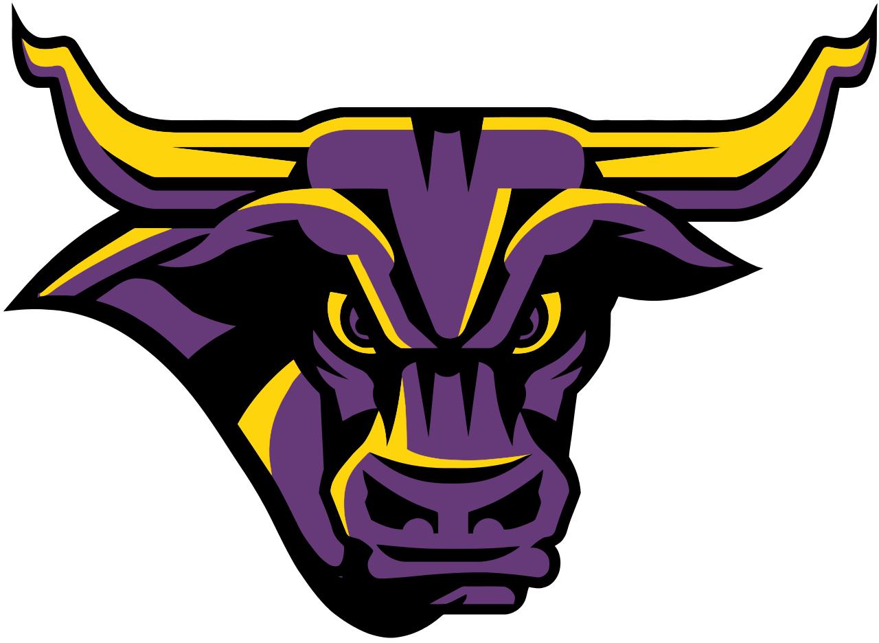 Minnesota State