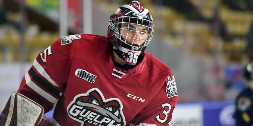 Guelph Storm; NHL Draft Prospect Update