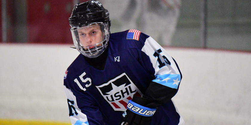 Michigan Public High School Hockey Showcase: Top 50