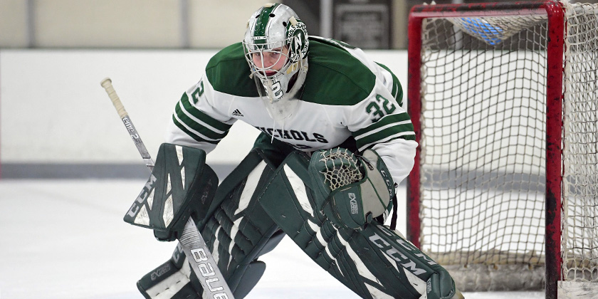 NAHL: Late October Goalie Report