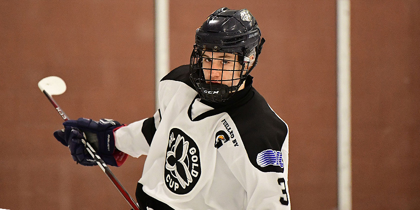 OHL: Mississauga Steelheads vs Niagra Ice Dogs