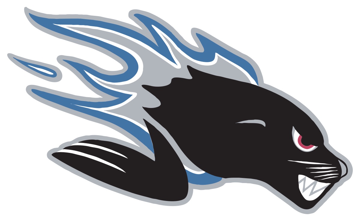 QMJHL: Saint John Sea Dogs Draft Prospects