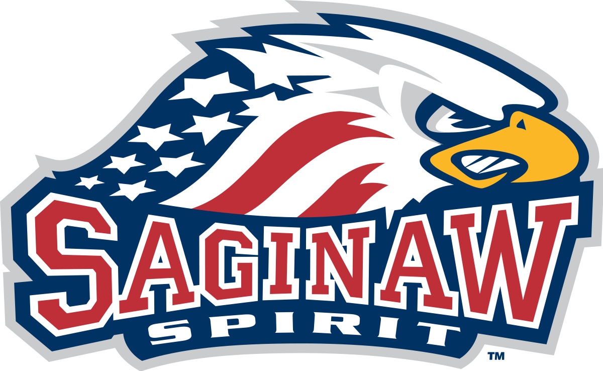 OHL: Saginaw Spirit at Guelph Storm