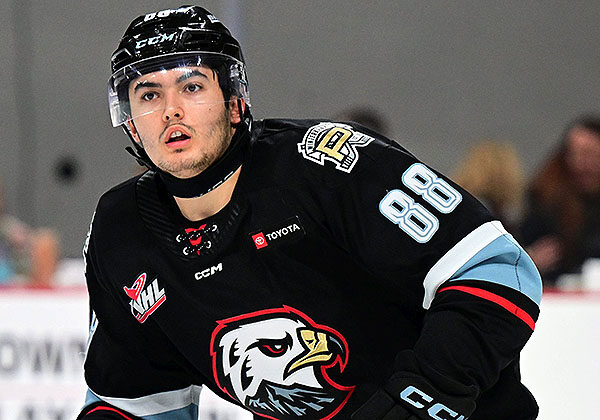 Photo credit: Dan Hickling/Hickling Images