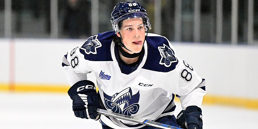 Photo credit: Dan Hickling/Hickling Images