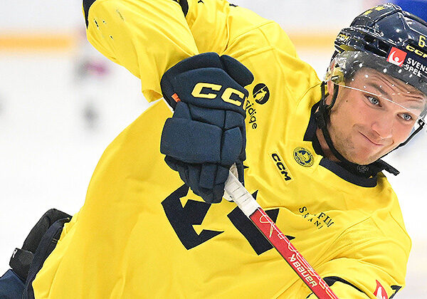 Photo credit: Dan Hickling/Hickling Images