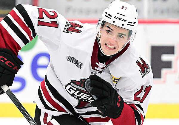 Photo credit: Dan Hickling/Hickling Images