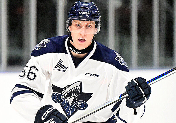 Photo credit: Dan Hickling/Hickling Images