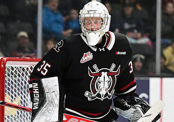 Photo credit: Dan Hickling/Hickling Images