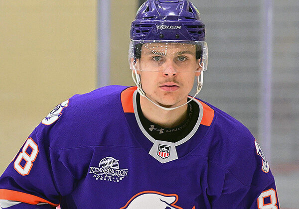 Photo credit: Dan Hickling/Hickling Images