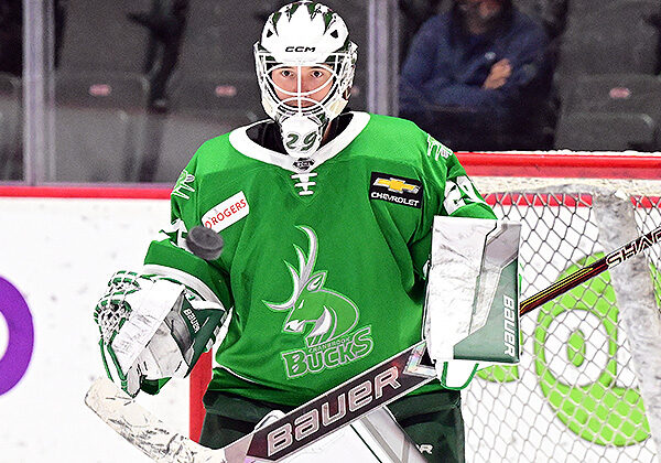 Photo credit: Dan Hickling/Hickling Images