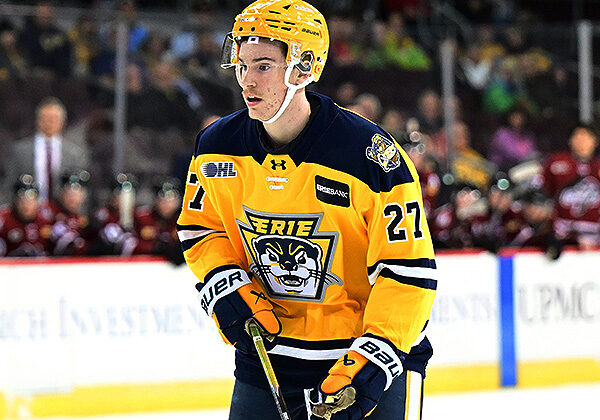 Photo credit: Dan Hickling/Hickling Images