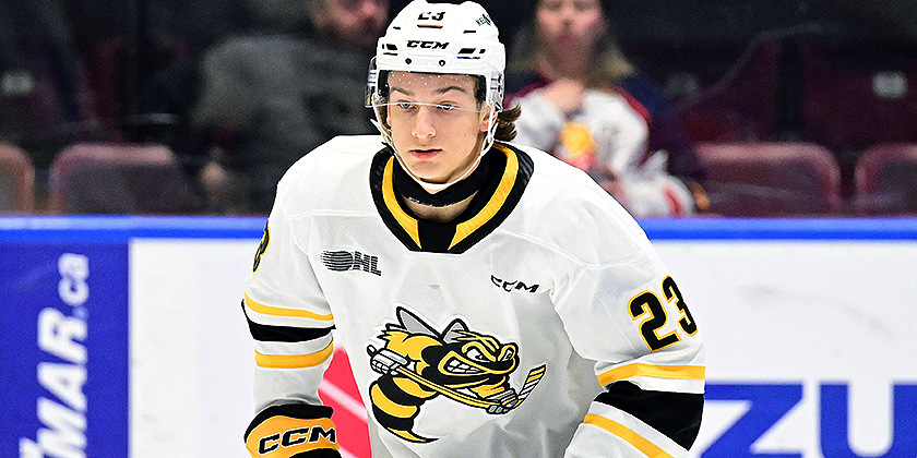 OHL:  Sarnia (3) @ Niagara (4)