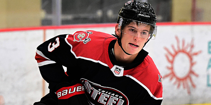 USHL:  Dubuque (6) @ Chicago (4)