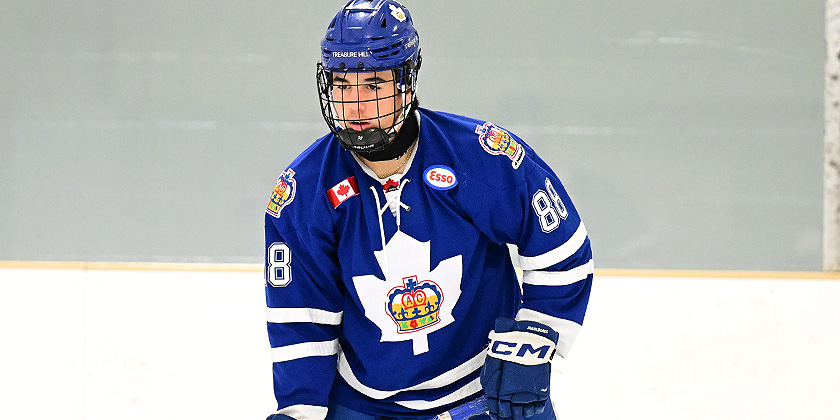 Port Huron Silver Stick 2011: 120 Players Evaluated