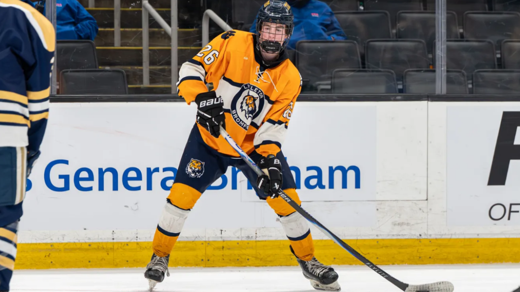 MIAA 2026 D4 Mr. Hockey Top 25 Watch List