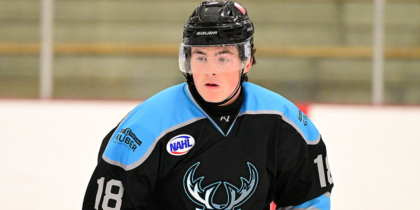 NA3HL: Five Games 51 Player Evaluations