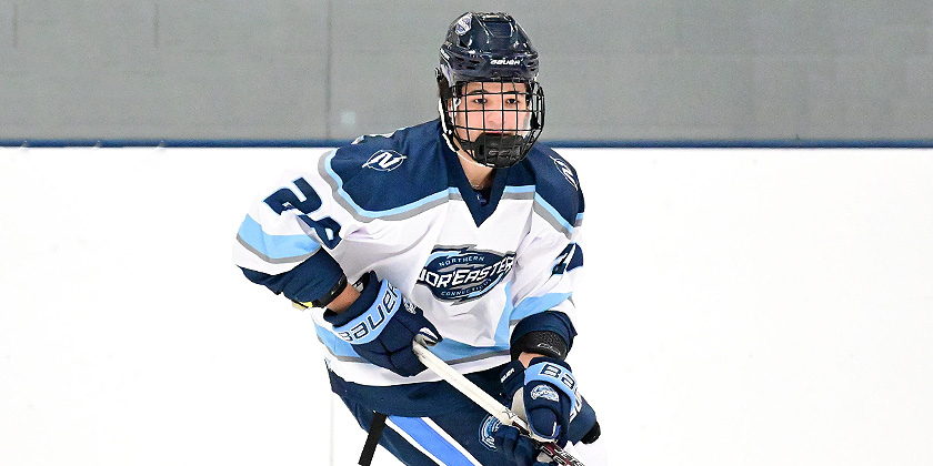 EHL Playoffs: 54 Players Evaluated