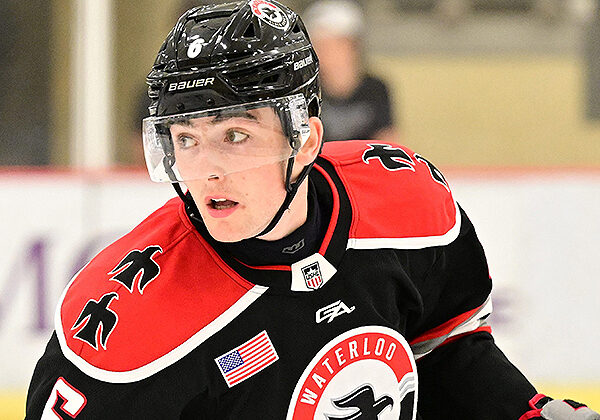 Photo credit: Dan Hickling/Hickling Images