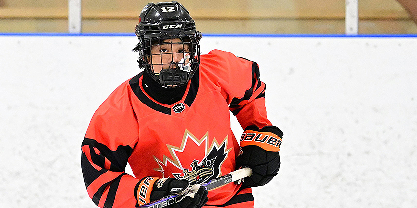 Chicago Steel Ice Breaker: 14U & 15U