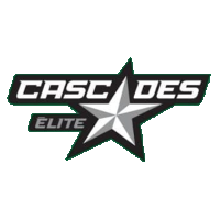 Quebec U15: 3 Games – 30 Player Evaluations