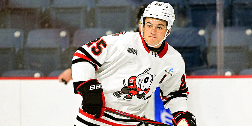 OHL: Guelph (5) @ Sarnia (2)